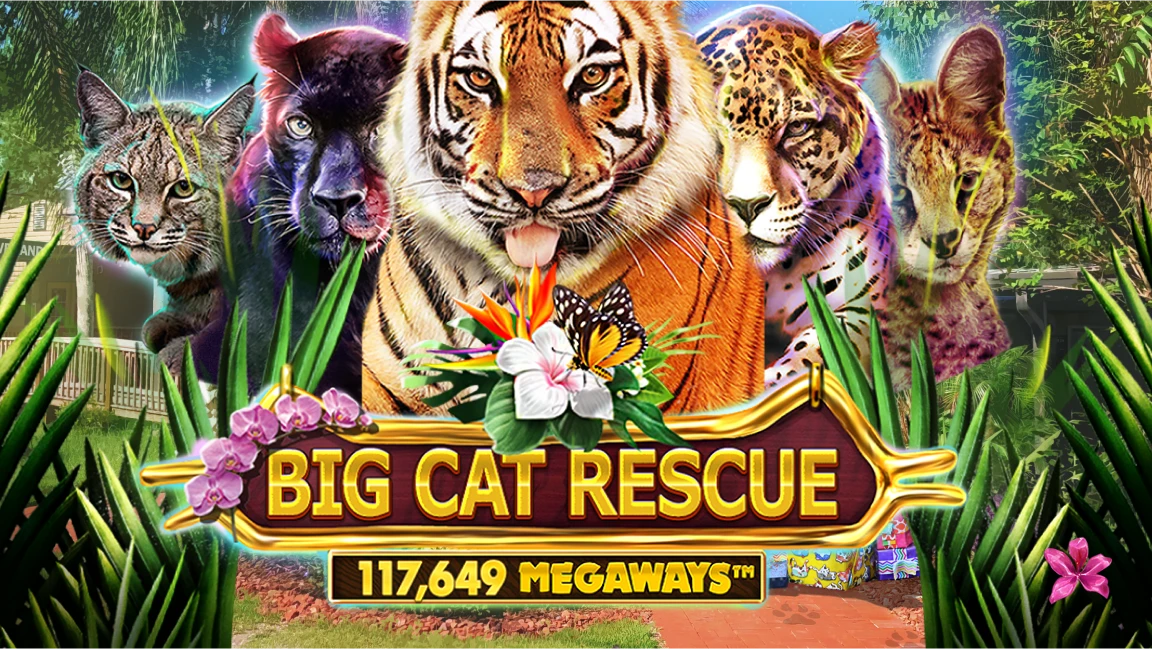 The promotional header for Big Cat Rescue MegaWays, an online slot game on Betty.ca.
