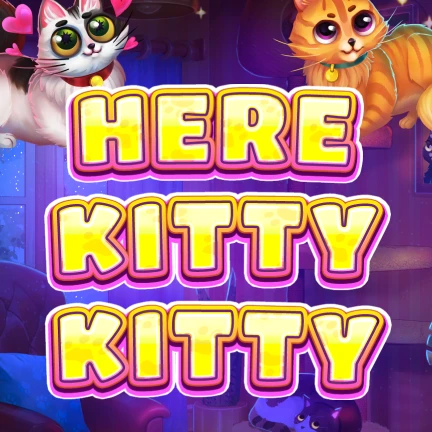 Here Kitty Kitty