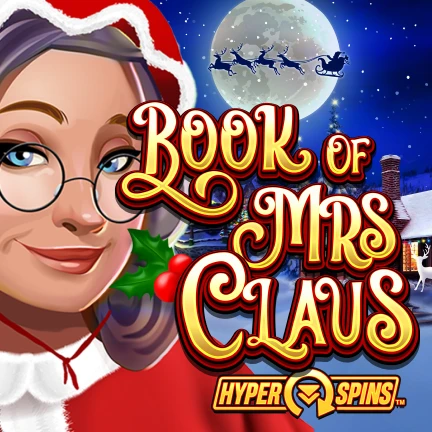 Book Of Mrs Claus