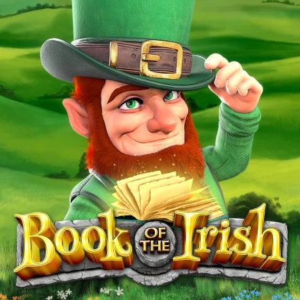 Book of the Irish