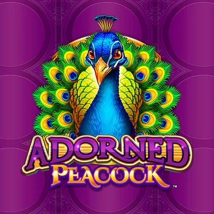 Adorned Peacock