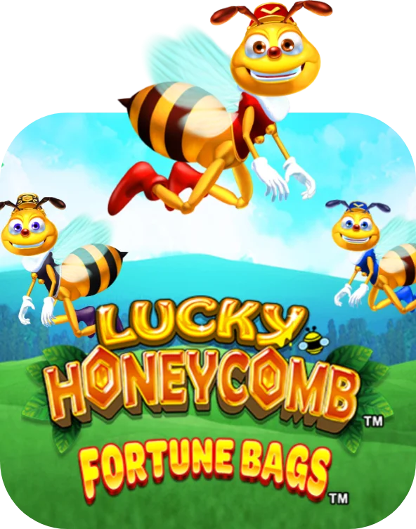Lucky Honeycomb Fortune Bags