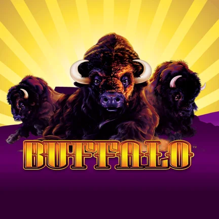 Buffalo