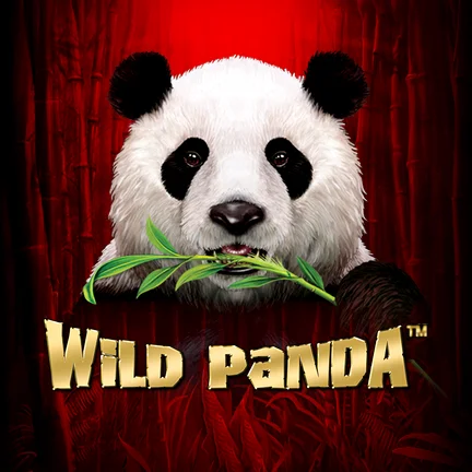Wild Panda