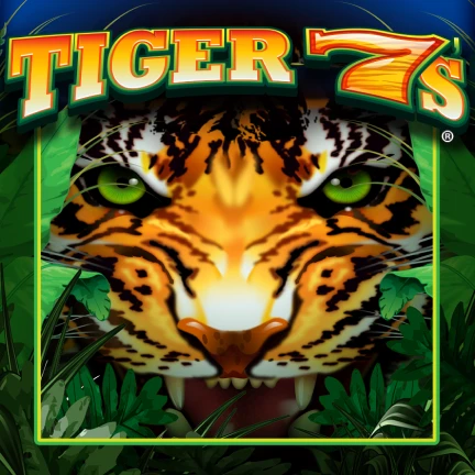 Tiger 7's