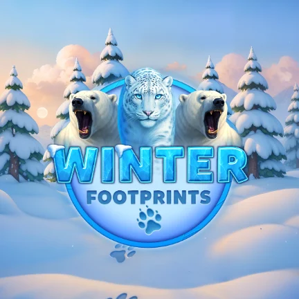 Winter Footprints