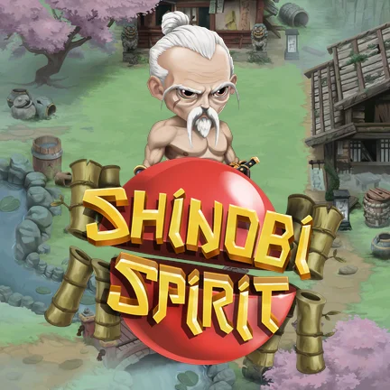 Shinobi Spirit