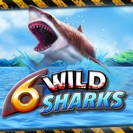 6 Wild Sharks