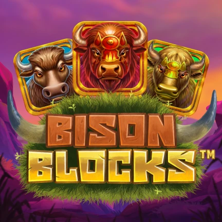 Bison Blocks