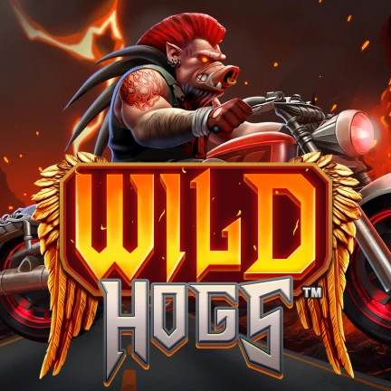 Wild Hogs™
