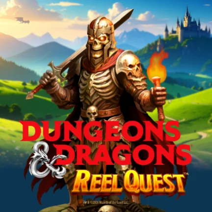 Dungeons & Dragons® Reel Quest™