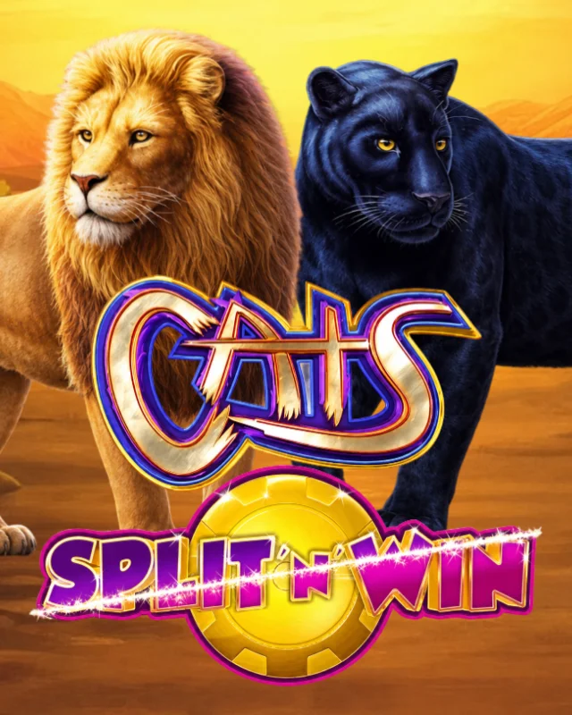 Cats Split ‘N’ Win