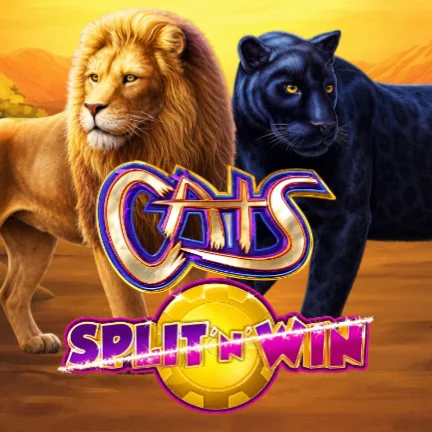 Cats Split ‘N’ Win