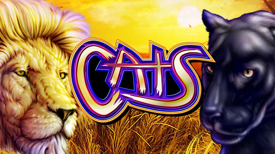The promotional header for Cats, an online slot game on Betty.ca.