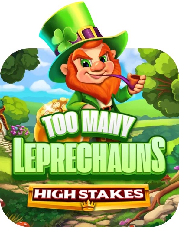 Too Many Leprechauns High Stakes