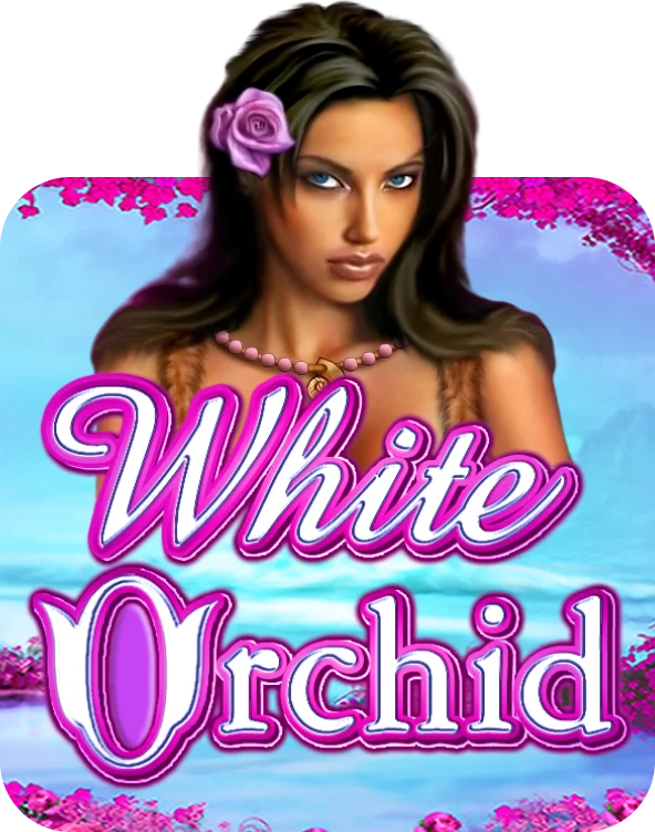 White Orchid