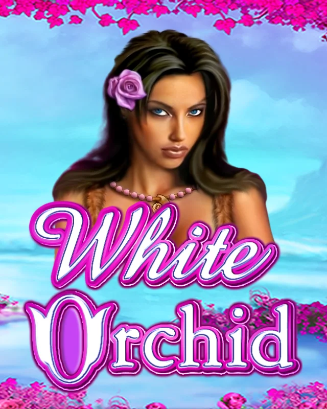 White Orchid