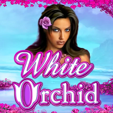 White Orchid