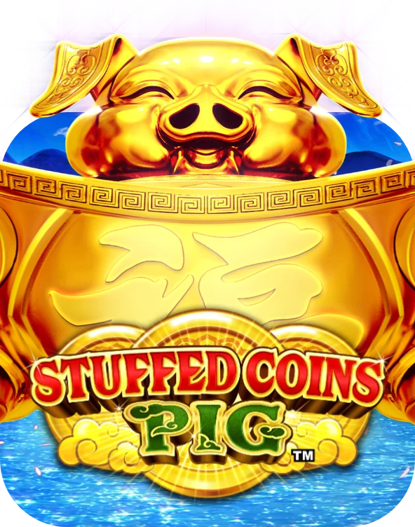 Stuffed Coins Pig
