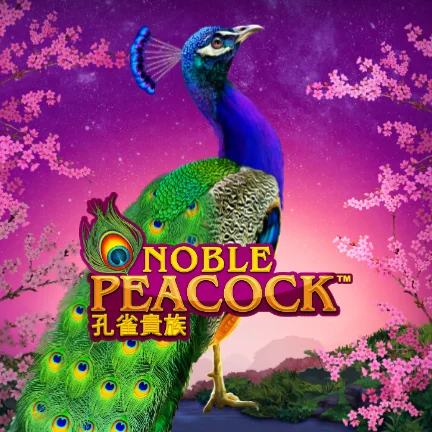 Power Prizes - Noble Peacock