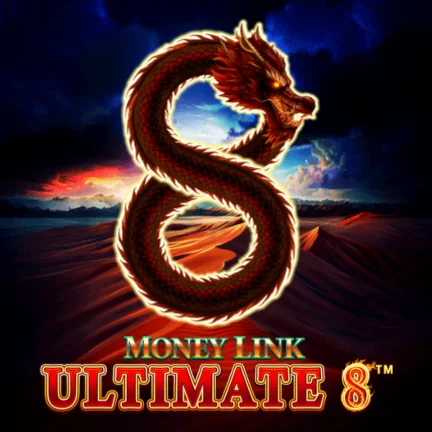 Money Link Ultimate 8
