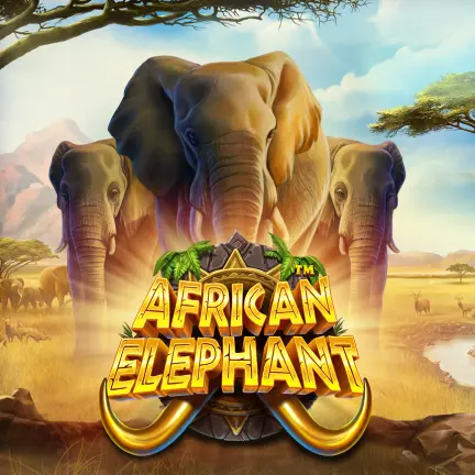 African Elephant